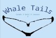 Whale Tails