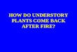 HOW DO UNDERSTORY PLANTS COME BACK AFTER FIRE?
