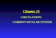 Chapter 23 CIRCULATION: CARDIOVASCULAR SYSTEM