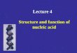 Lecture 4 Structure and function of nucleic acid