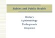 Rabies and Public Health