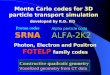 Monte Carlo codes for 3D particle transport simulation  developed by R.D. Ili}