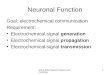 Neuronal Function