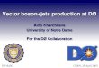 Vector boson+jets production at DØ Avto Kharchilava University of Notre Dame