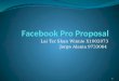 Facebook  Pro Proposal
