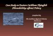 Case Study on Eastern Caribbean Flyingfish  ( Hirundichthys affinis )  Fishery