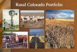 Rural Colorado Portfolio