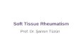Soft Tissue Rheumatism