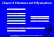 Chapter 8 Inheritance and Polymorphism