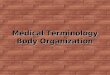 Medical Terminology Body Organization