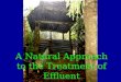 A Natural Approach to the Treatment of Effluent