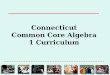 Connecticut Common Core Algebra 1 Curriculum