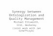 Synergy between Ontologization and Quality Management