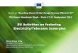 EU Activities on fostering  Electricity/Telecoms Synergies
