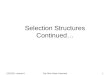 Selection Structures Continued…