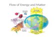 Flow of Energy and Matter