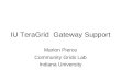 IU TeraGrid  Gateway Support