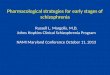 Pharmacological strategies for early stages of schizophrenia