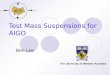 Test Mass Suspensions for AIGO