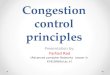 Congestion control principles