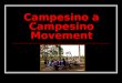Campesino a Campesino Movement