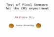 Test of Pixel Sensors for the CMS experiment