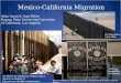 Mexico-California Migration
