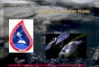 Spaceborne Weather Radar