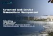 Advanced Web Service Transactions Management