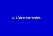11. Lípidos isoprenoides