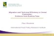 Migration and Technical Efficiency in Cereal Production:  Evidence from Burkina Faso