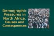 Demographic Pressures in North Africa:  Causes and Consequences