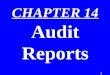 CHAPTER 14 Audit Reports