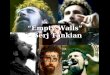 “Empty Walls” – Serj Tankian