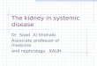 The kidney in systemic       disease