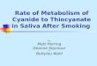 Rate of Metabolism of Cyanide to Thiocyanate in Saliva After Smoking