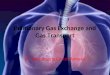 Pulmonary Gas Exchange and Gas Transport