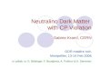 Neutralino Dark Matter  with CP Violation Sabine Kraml, CERN