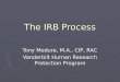The IRB Process