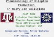 Phenomenology of Dilepton Production  in Heavy-Ion Collisions