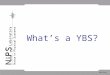 What’s a YBS?