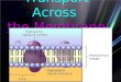 Transport Across  the Membrane  (6.3)