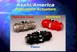Asahi/America Pneumatic Actuators