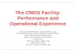 The CNGS Facility: Performance and Operational Experience