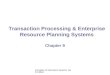 Transaction Processing & Enterprise Resource Planning Systems