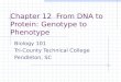 Chapter 12  From DNA to Protein: Genotype to Phenotype