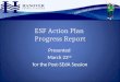 ESF Action Plan  Progress Report
