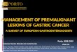 Management of premalignant lesions of gastric cancer A  survey of European  Gastroenterologists