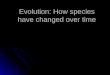 Evolution: How species have changed over time