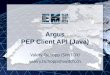 Argus PEP Client API (Java)